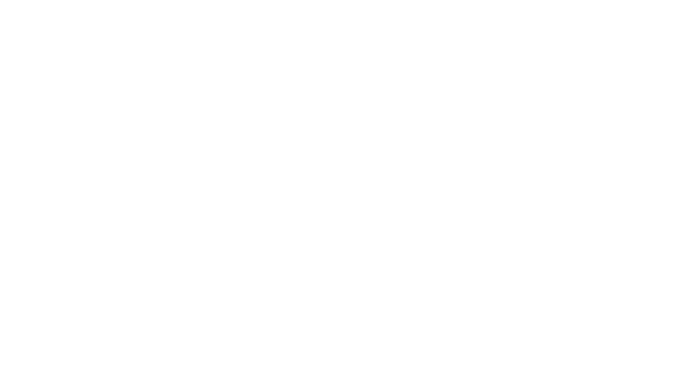 VeloPulse